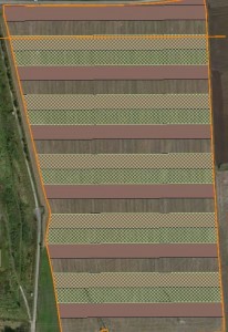 Versuchsplan_Bodenbearbeitung